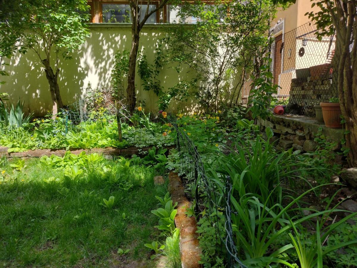 Charming Central Home With Garden Near Parking And Ndk Sofia Exterior photo